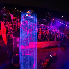 „Insane Run“ bėgimas | Alfredo Pliadžio nuotr. 3