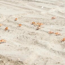 Dakaro ralio septintasis etapas | Pitlane/Ryčio Šeškaičio nuotr. 44