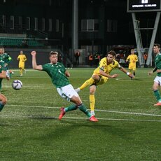 Lietuvos ir Šiaurės Airijos rinktinių rungtynės | Petro Lozdos nuotr. 29