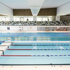 Europos jaunimo plaukimo čempionato Vilniuje pristatymas | Pauliaus Peleckio / BNS foto nuotr. 27