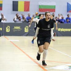 Lietuvos beisbolo asociacijos nuotr. | Organizatorių nuotr. 2