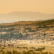 „CFMOTO Thunder Racing Team“ nuotr. | Komandos nuotr. 5