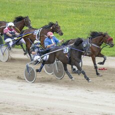 Kęstučio Vanago/RLŽL nuotr. | Organizatorių nuotr. 8