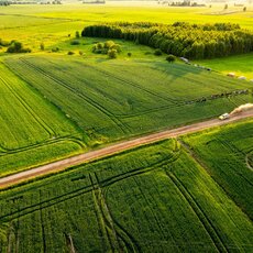 „Rally Žemaitija 2025“ | Andriaus Lauciaus nuotr. 16