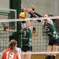 Lietuvių ir austrių rungtynės | CEV nuotr. 6