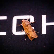 Dakaro ralio septintasis etapas | Pitlane/Ryčio Šeškaičio nuotr. 99