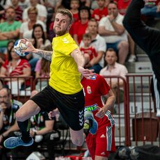 Vengrų ir lietuvių rungtynės | Edgaro Alšausko nuotr. 8