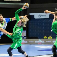 Lietuvių ir slovėnų rungtynės | Patricijos Adamovič / BNS nuotr. 29