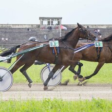 Kęstučio Vanago/RLŽL nuotr. | Organizatorių nuotr. 12