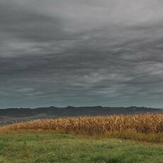 „CFMOTO Thunder Racing Team“ nuotr. | Organizatorių nuotr. 4