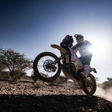 Mykolas Paulavičius | Komandos nuotr. 4