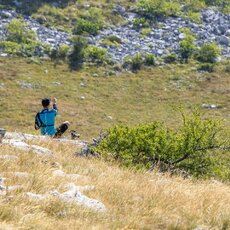 „CFMOTO Thunder Racing Team“ nuotr. | Komandos nuotr. 9