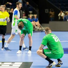 Lietuvių ir slovėnų rungtynės | Patricijos Adamovič / BNS nuotr. 34