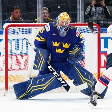 Švedijos – Norvegijos rungtynių akimirka | IIHF nuotr. 23