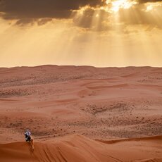 Mykolas Paulavičius | Komandos nuotr. 3