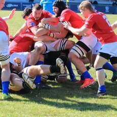 Lietuvių ir čekų rungtynės | Vitos Jevtušenkienės nuotr. 3