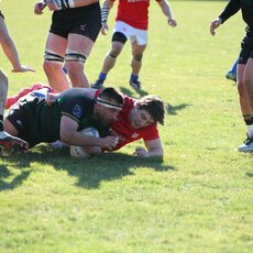 Lietuvių ir čekų rungtynės | Vitos Jevtušenkienės nuotr. 8