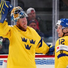 Švedijos – Čekijos rungtynių akimirka | IIHF nuotr. 21