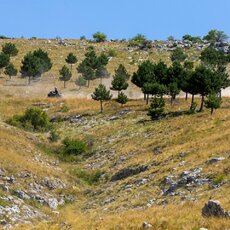 „CFMOTO Thunder Racing Team“ nuotr. | Komandos nuotr. 8