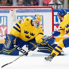 Švedijos – Čekijos rungtynių akimirka | IIHF nuotr. 24