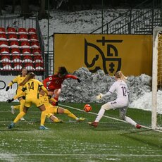 Lietuvių ir šveicarių rungtynės | Petro Lozdos nuotr. 2