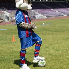 Dovydo Vaikšnoro nuotr. | Organizatorių nuotr. 9