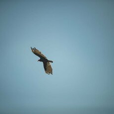 Dakaro ralio šeštasis etapas | Pitlane/Ryčio Šeškaičio nuotr. 49