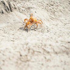 Dakaro ralio septintasis etapas | Pitlane/Ryčio Šeškaičio nuotr. 43