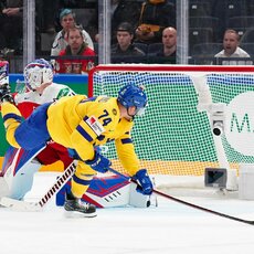 Švedijos – Čekijos rungtynių akimirka | IIHF nuotr. 18