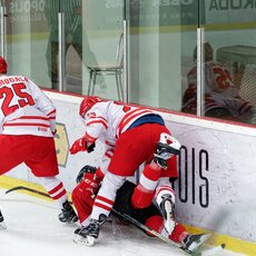 Lietuva – Lenkija rungtynių akimirka | Sportas.lt/Tito Pacausko nuotr. 32