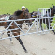 Kęstučio Vanago/RLŽL nuotr. | Organizatorių nuotr. 3