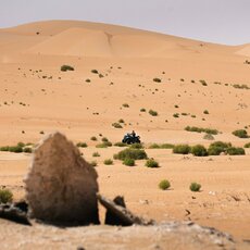 „CFMOTO Thunder Racing Team“ nuotr. | Komandos nuotr. 1