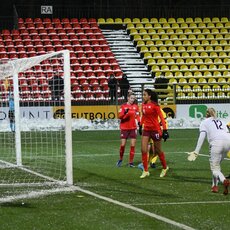 Lietuvių ir šveicarių rungtynės | Petro Lozdos nuotr. 13