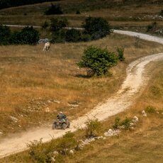 „CFMOTO Thunder Racing Team“ nuotr. | Komandos nuotr. 4