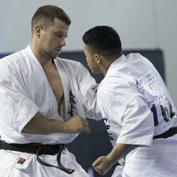 Pasaulio kiokušin karatė čempionatas | Algimanto Barzdžiaus nuotr. 1