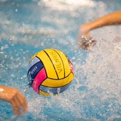 „Baltic Amadeus“ taurės turnyras | E.Kniežausko nuotr. 2