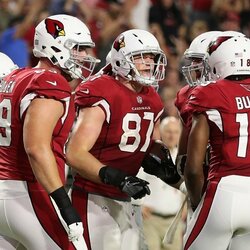 27. Arizonos „Cardinals“ – 2,325 mlrd. Metinis vertės pokytis: +3 proc. Pelnas prieš mokesčius: 78 mln. | „Scanpix“ ir instagram.com nuotr. 6