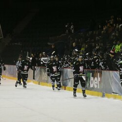 „7bet-Hockey Punks“ ir „Dinamo“ rungtynės | Petro Lozdos nuotr. 6