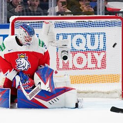Švedijos – Čekijos rungtynių akimirka | IIHF nuotr. 6