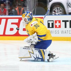 Švedų ir austrų rungtynės | IIHF nuotr. 1
