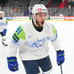 Slovėnija – Prancūzija rungtynių akimirka | IIHF nuotr. 6