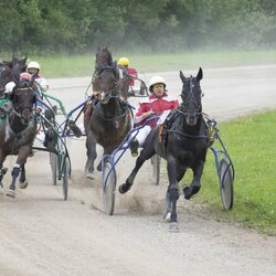 Kęstučio Vanago/RLŽL nuotr. | Organizatorių nuotr. 6