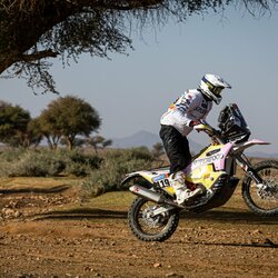 Mykolas Paulavičius | Komandos nuotr. 1