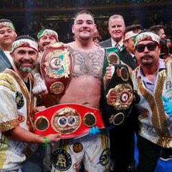 Anthony Joshua prieš Andy Ruizą | Scanpix nuotr. 4