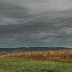 „CFMOTO Thunder Racing Team“ nuotr. | Organizatorių nuotr. 4