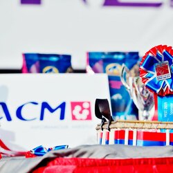 „HEST 2019“ | Alesya Safe nuotr. 4