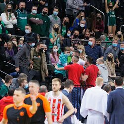 „Crvena Zvezda“ sirgalių konfliktas su „Žalgirio“ gerbėjais ir apsauga | Eriko Ovčarenko / BNS foto nuotr. 5
