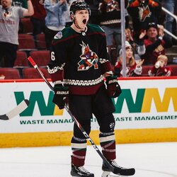 31. Arizonos „Coyotes“ – 285 mln. JAV dolerių. Metinis vertės pokytis: -5 proc. Skolos/vertės santykis: 105 proc. Metinės pajamos: 95 mln. JAV dolerių. Metinis nuostolis: 17 mln. JAV dolerių. | „Scanpix“ ir instagram.com nuotr. 1