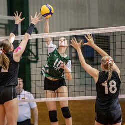 Lietuvių ir austrių rungtynės | CEV nuotr. 5