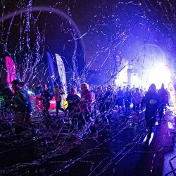 „Insane Run“ bėgimas | Alfredo Pliadžio nuotr. 5